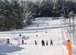 ski station Mareszka